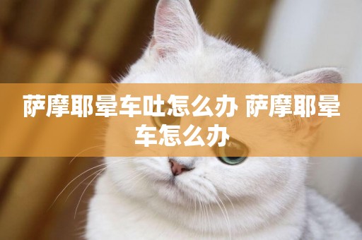 薩摩耶暈車吐怎么辦 薩摩耶暈車怎么辦