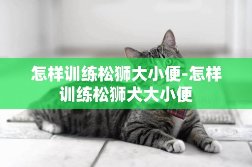 怎樣訓練松獅大小便-怎樣訓練松獅犬大小便