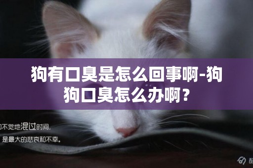 狗有口臭是怎么回事啊-狗狗口臭怎么辦啊？