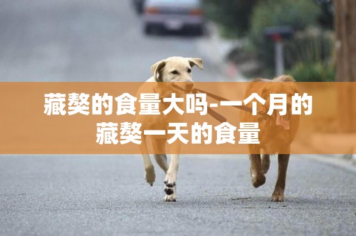 藏獒的食量大嗎-一個月的藏獒一天的食量