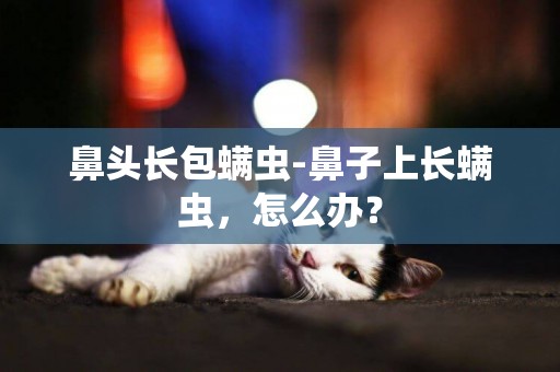 鼻頭長包螨蟲-鼻子上長螨蟲，怎么辦？