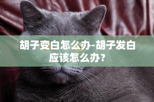 胡子變白怎么辦-胡子發白應該怎么辦？