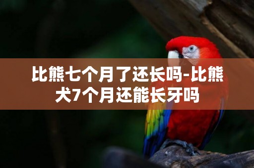 比熊七個月了還長嗎-比熊犬7個月還能長牙嗎