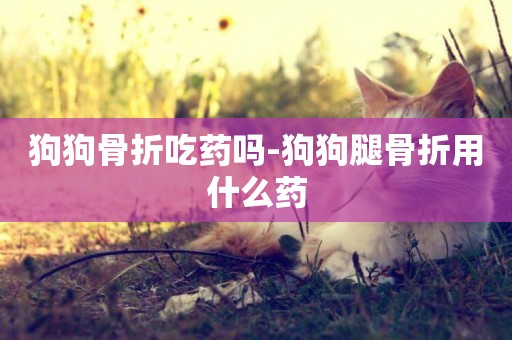 狗狗骨折吃藥嗎-狗狗腿骨折用什么藥