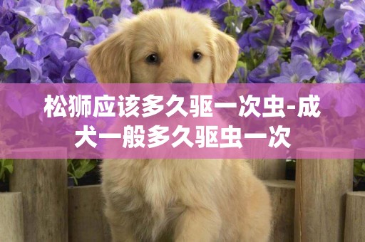 松獅應該多久驅一次蟲-成犬一般多久驅蟲一次