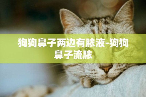 狗狗鼻子兩邊有膿液-狗狗鼻子流膿