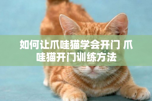 如何讓爪哇貓學會開門 爪哇貓開門訓練方法