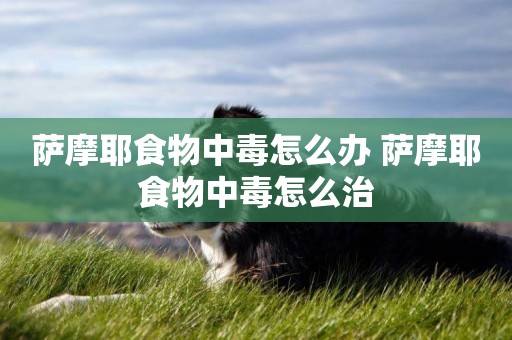 薩摩耶食物中毒怎么辦 薩摩耶食物中毒怎么治