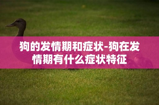狗的發情期和癥狀-狗在發情期有什么癥狀特征