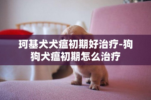 珂基犬犬瘟初期好治療-狗狗犬瘟初期怎么治療