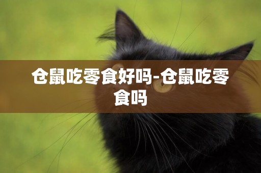 倉鼠吃零食好嗎-倉鼠吃零食嗎