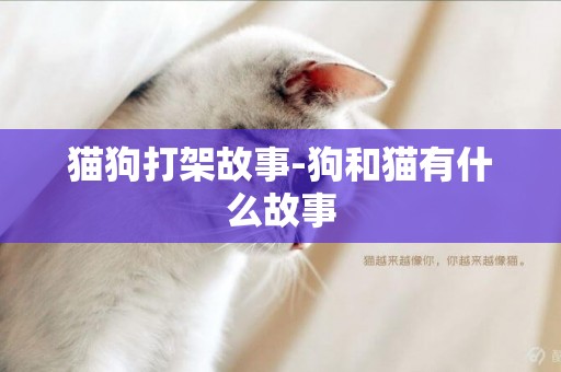 貓狗打架故事-狗和貓有什么故事