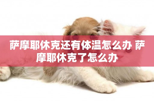 薩摩耶休克還有體溫怎么辦 薩摩耶休克了怎么辦