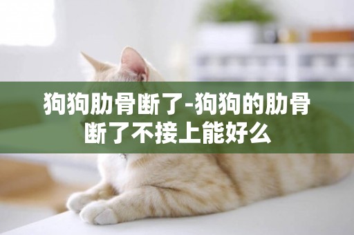狗狗肋骨斷了-狗狗的肋骨斷了不接上能好么