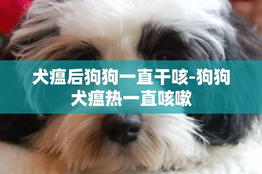 犬瘟后狗狗一直干咳-狗狗犬瘟熱一直咳嗽