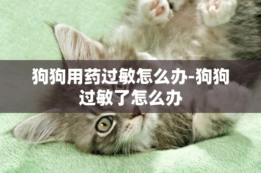 狗狗用藥過敏怎么辦-狗狗過敏了怎么辦