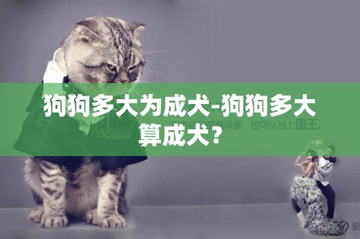 狗狗多大為成犬-狗狗多大算成犬？