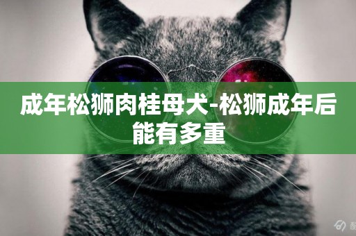 成年松獅肉桂母犬-松獅成年后能有多重