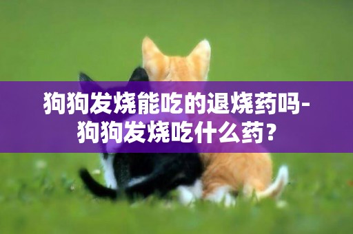 狗狗發燒能吃的退燒藥嗎-狗狗發燒吃什么藥？