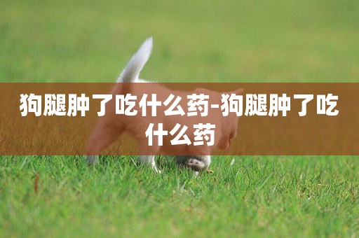 狗腿腫了吃什么藥-狗腿腫了吃什么藥