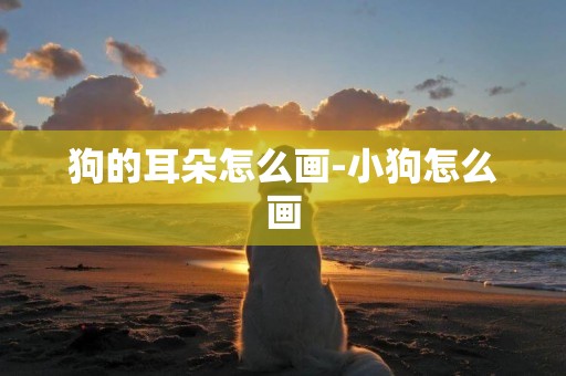 狗的耳朵怎么畫-小狗怎么畫