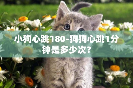 小狗心跳180-狗狗心跳1分鐘是多少次？