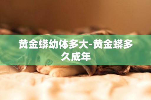 黃金蟒幼體多大-黃金蟒多久成年