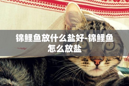 錦鯉魚放什么鹽好-錦鯉魚怎么放鹽