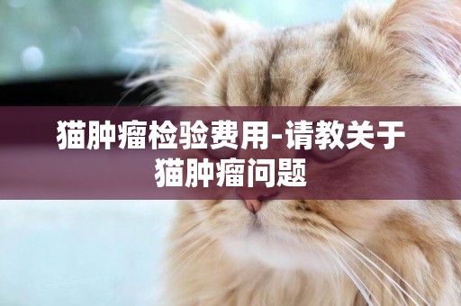 貓腫瘤檢驗費用-請教關于貓腫瘤問題