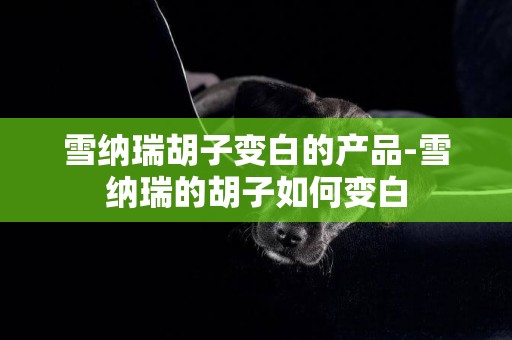 雪納瑞胡子變白的產品-雪納瑞的胡子如何變白