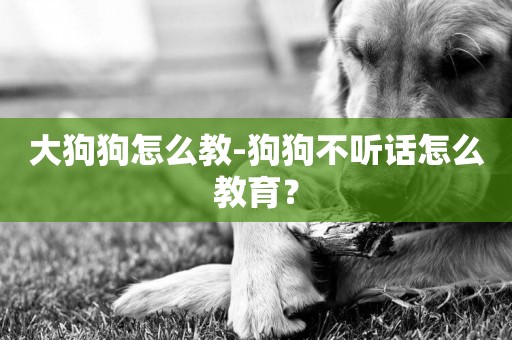 大狗狗怎么教-狗狗不聽話怎么教育？