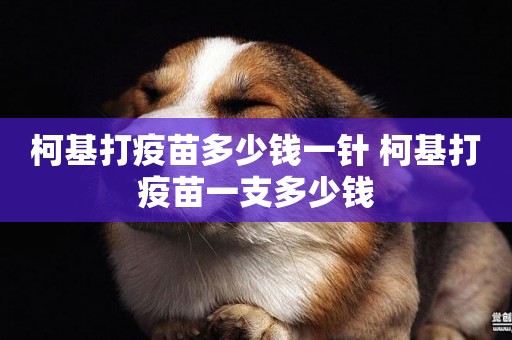 柯基打疫苗多少錢一針 柯基打疫苗一支多少錢