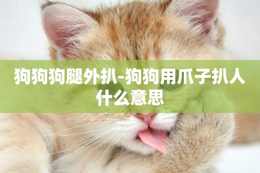 狗狗狗腿外扒-狗狗用爪子扒人什么意思