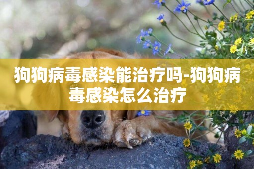 狗狗病毒感染能治療嗎-狗狗病毒感染怎么治療