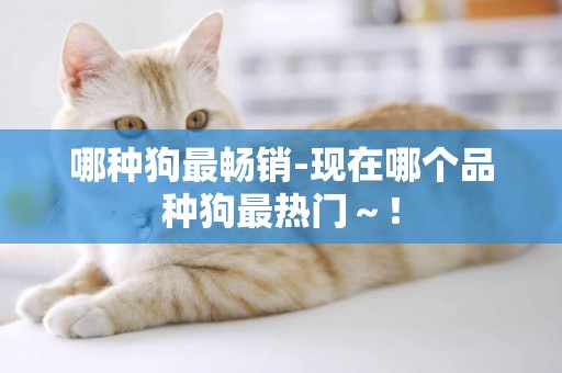 哪種狗最暢銷-現在哪個品種狗最熱門～！
