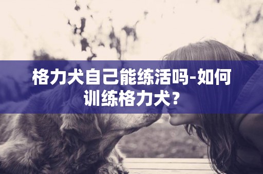 格力犬自己能練活嗎-如何訓練格力犬？