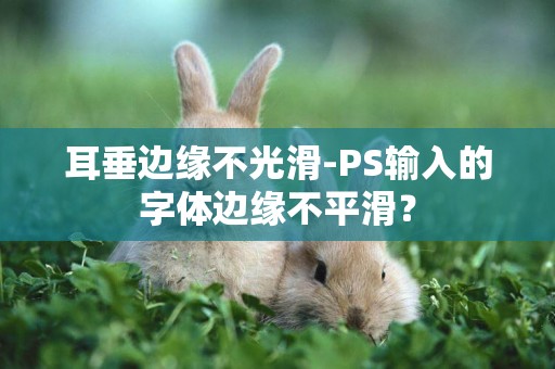 耳垂邊緣不光滑-PS輸入的字體邊緣不平滑？