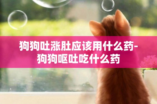 狗狗吐漲肚應該用什么藥-狗狗嘔吐吃什么藥