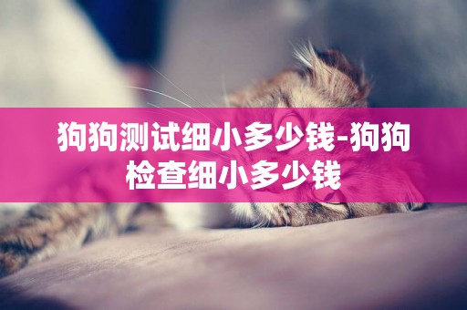 狗狗測試細小多少錢-狗狗檢查細小多少錢