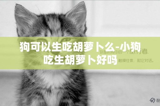 狗可以生吃胡蘿卜么-小狗吃生胡蘿卜好嗎