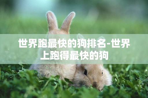 世界跑最快的狗排名-世界上跑得最快的狗