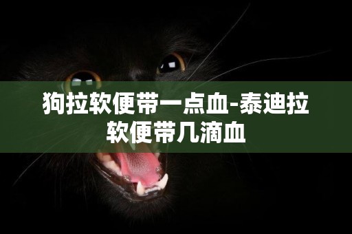 狗拉軟便帶一點血-泰迪拉軟便帶幾滴血