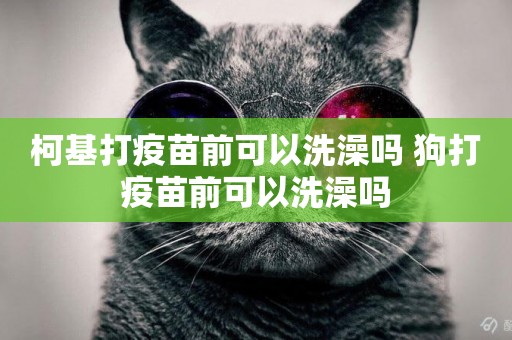 柯基打疫苗前可以洗澡嗎 狗打疫苗前可以洗澡嗎