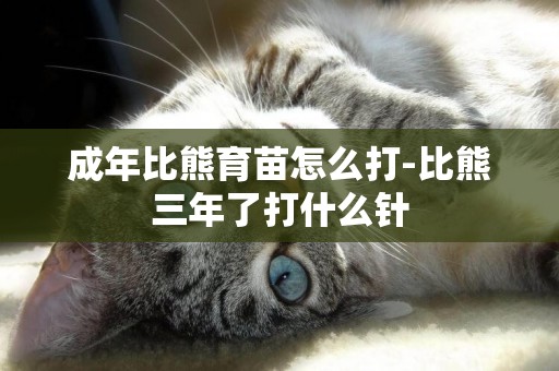 成年比熊育苗怎么打-比熊三年了打什么針