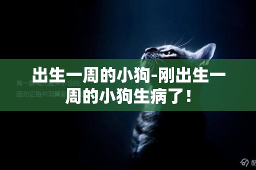 出生一周的小狗-剛出生一周的小狗生病了！