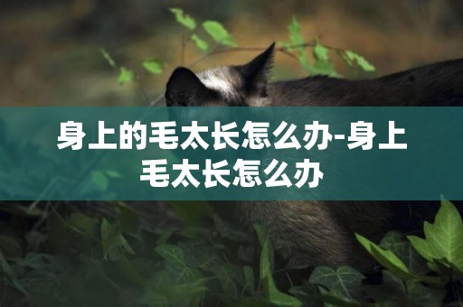 身上的毛太長怎么辦-身上毛太長怎么辦