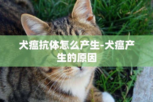 犬瘟抗體怎么產生-犬瘟產生的原因
