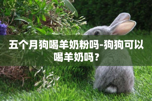 五個月狗喝羊奶粉嗎-狗狗可以喝羊奶嗎？