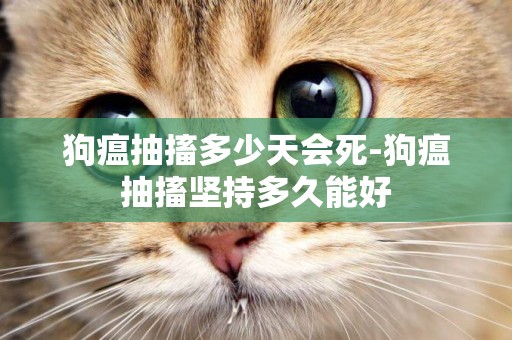 狗瘟抽搐多少天會死-狗瘟抽搐堅持多久能好