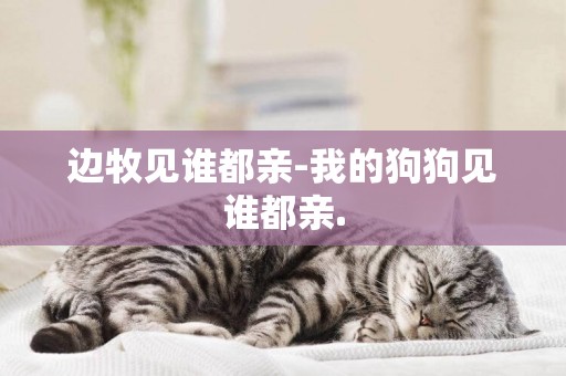 邊牧見誰都親-我的狗狗見誰都親.